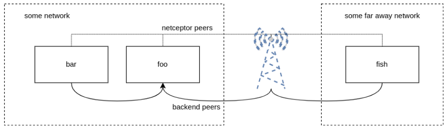 Network diagram with netceptor peers to edge network